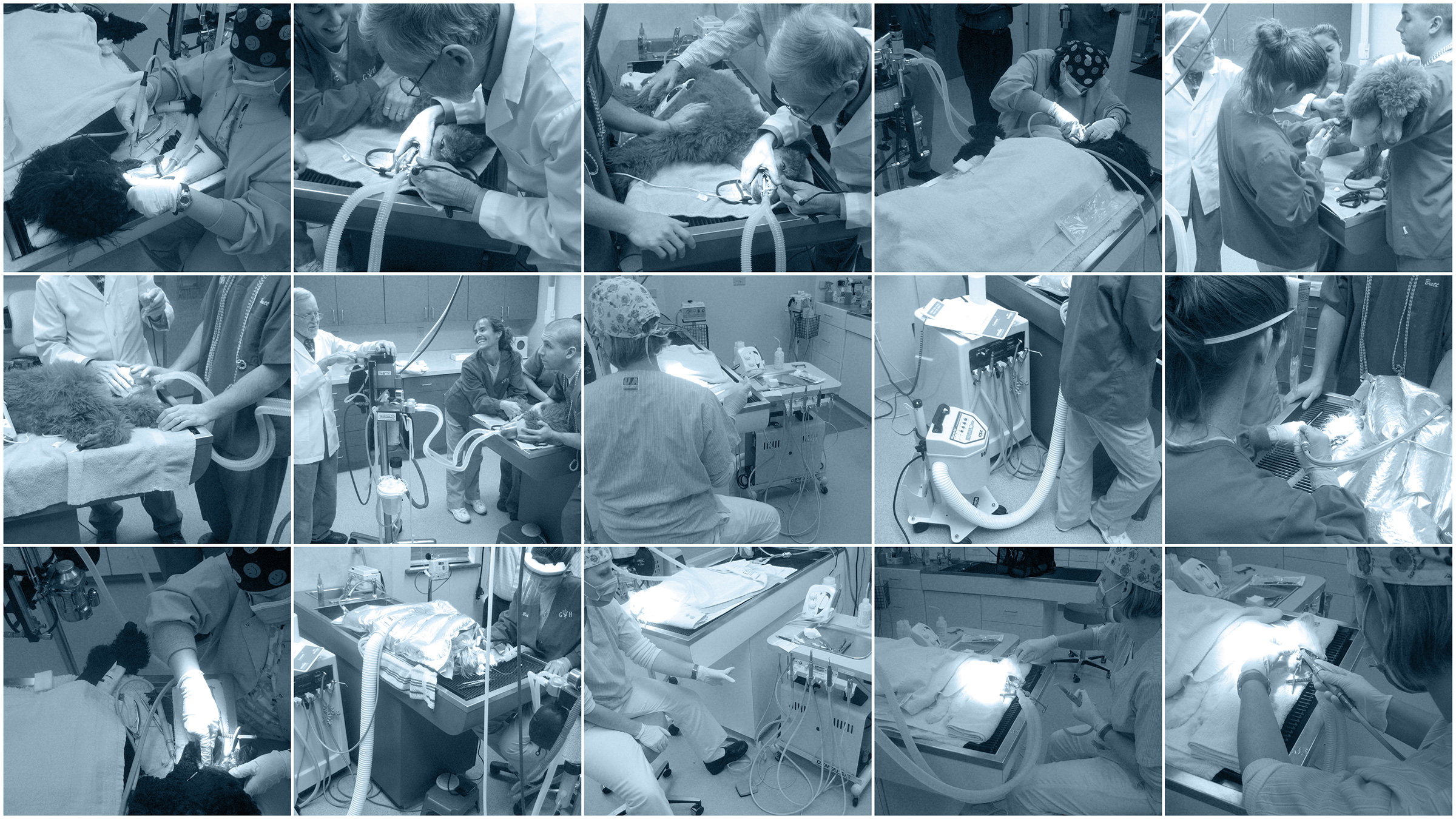 midmark vet pro medical cart design 17